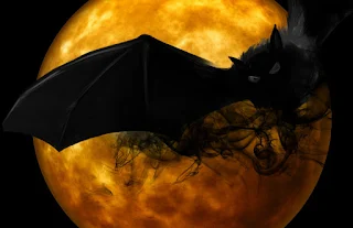 Morcegos curiosidades sobre o seu misterioso mundo.