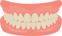 Gum (gusi) Gum (gusi)