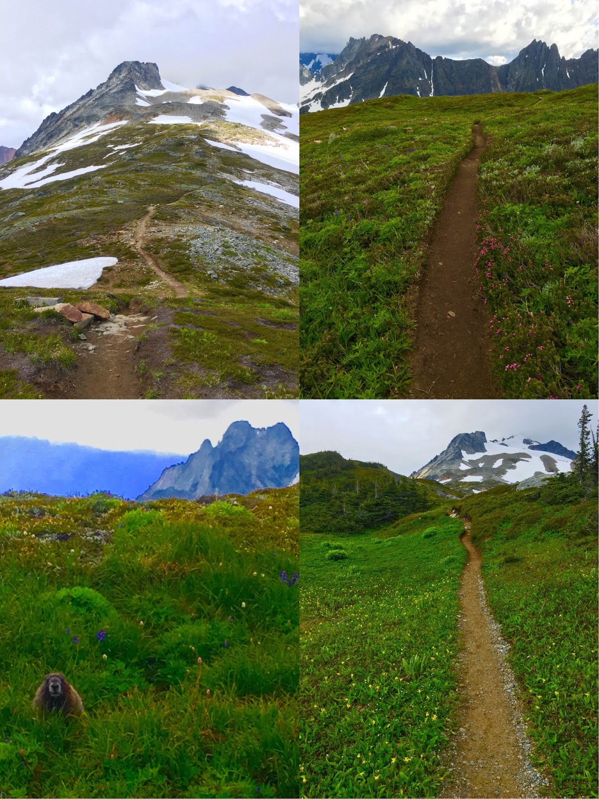 Life is a mountain.: July 2016