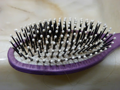 women-suffer-hair-loss-too-image-of-hairbrush-with-hair