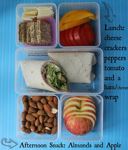 Mamabelly's Lunches With Love: OOTS! Lunchbox Deluxe Review & Giveaway
