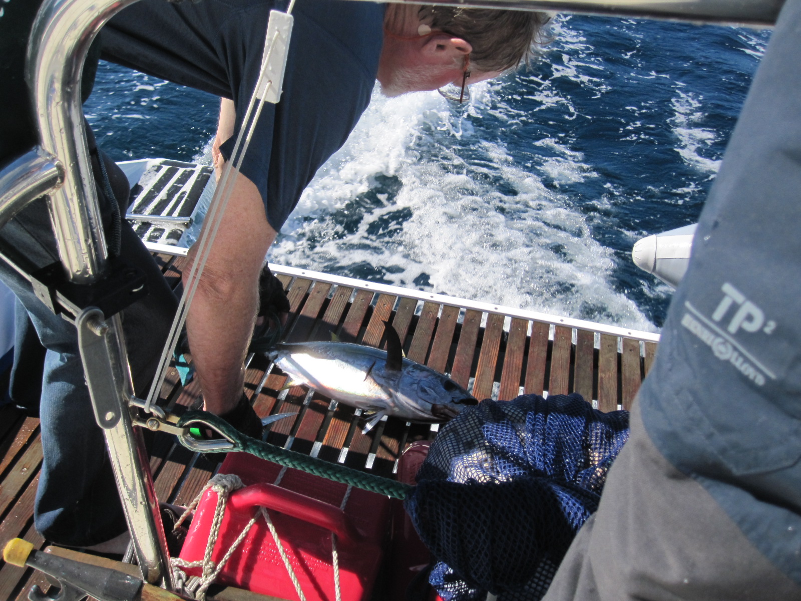 It's For Sail 5) 2010 Baja Haha sailing clips