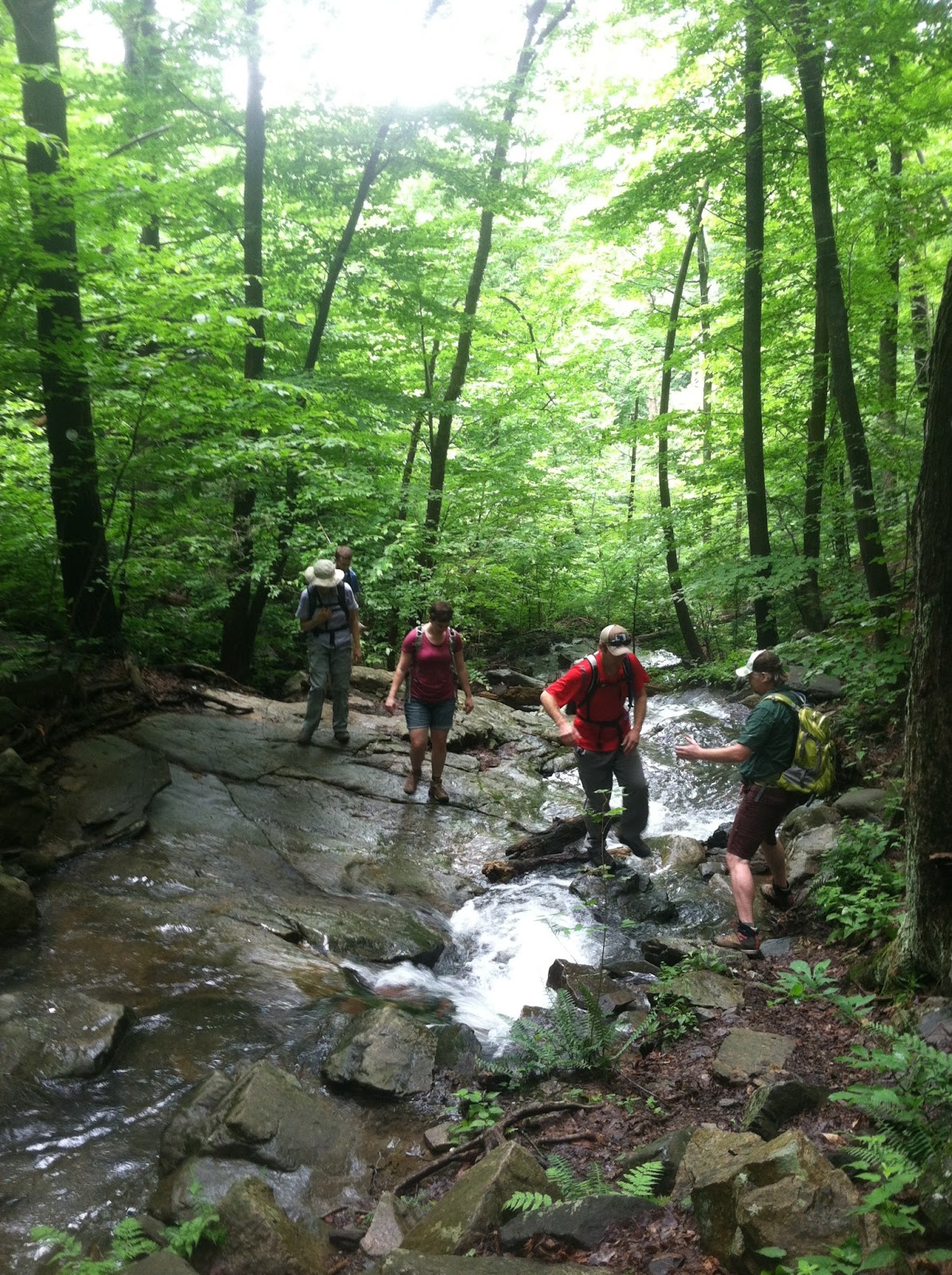 Bushwhacking Friday, Balsam Cap, Rocky, Lone, Peekamoose, and Table  Mountains - The Catskill Six — The Hiker Trash Husbands