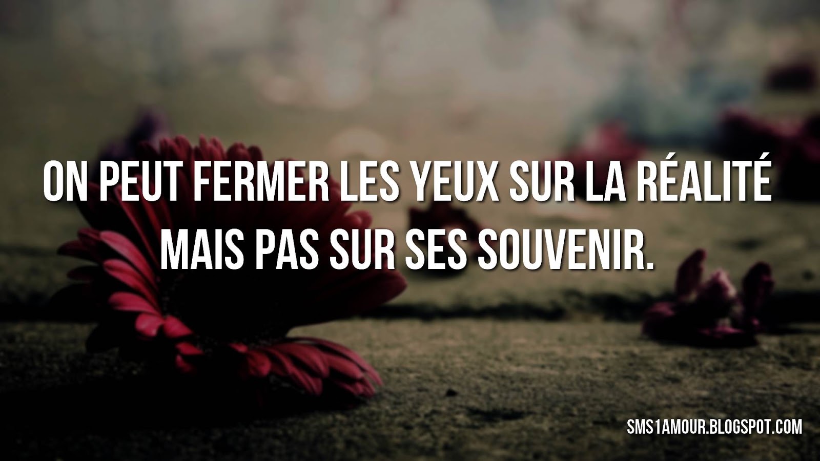 phrase d amour ~ message d'amour : Messages et SMS d'amour
