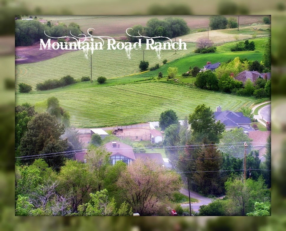 MountainRoadRanch