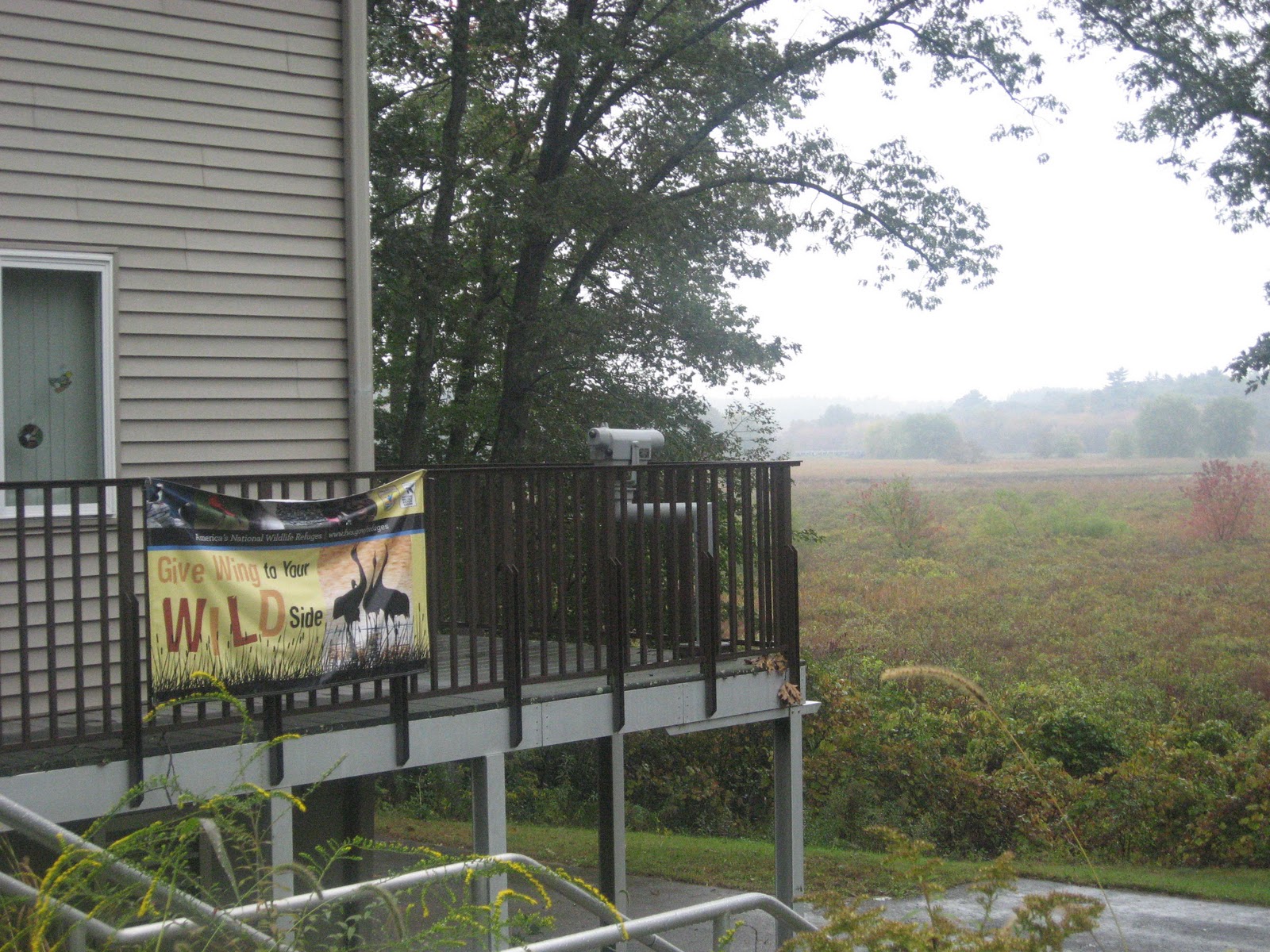 Exploring Massachusetts September 23rd 2011 Great Meadows National
