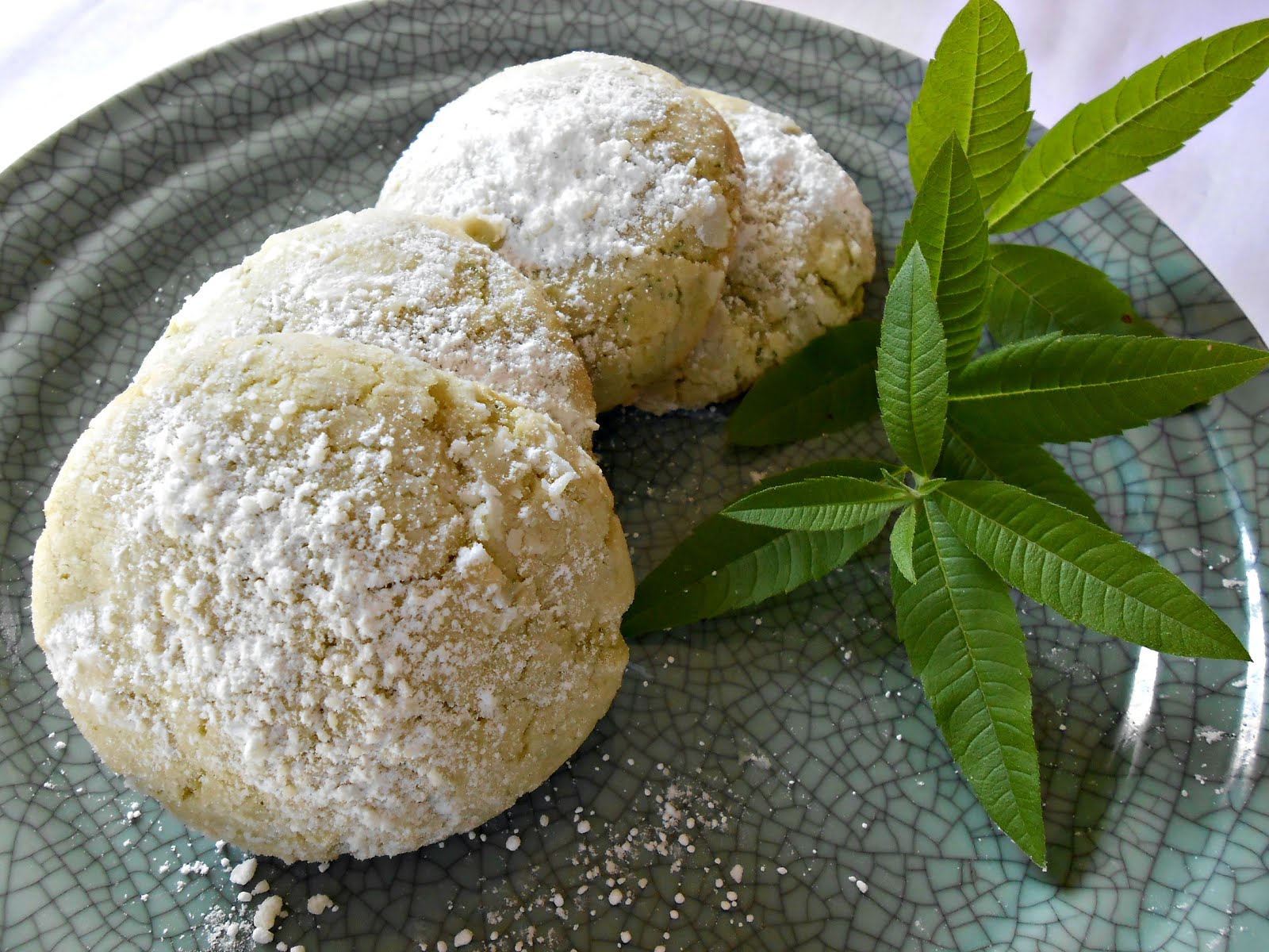Lemon Verbena Crinkle Cookies
