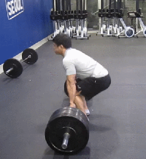 6.gif