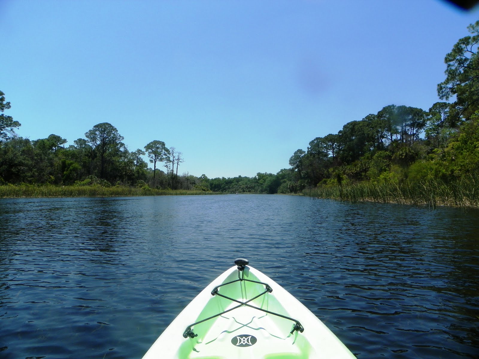 Views From Our Kayak Salt Springs Run