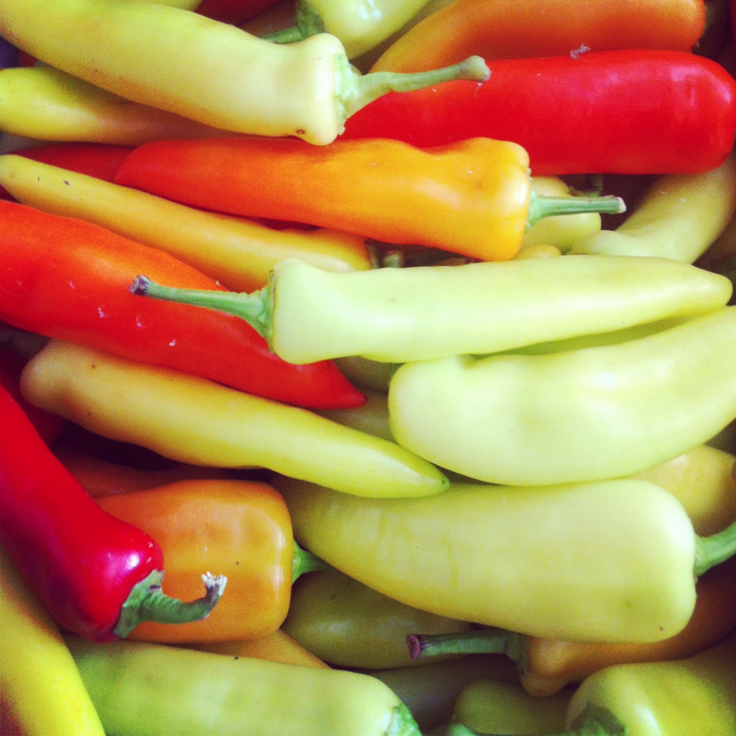Nalls' Kitchen Stuffed Sweet Banana Peppers