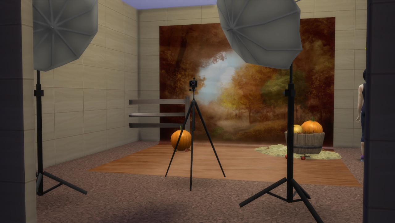 Sims 4 PhotoShoot