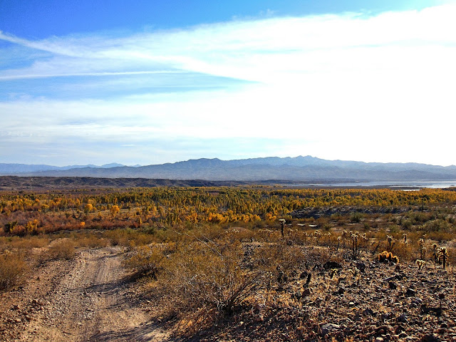 Desert Paradise 4x4 trail in Arizona | Big Sandy River