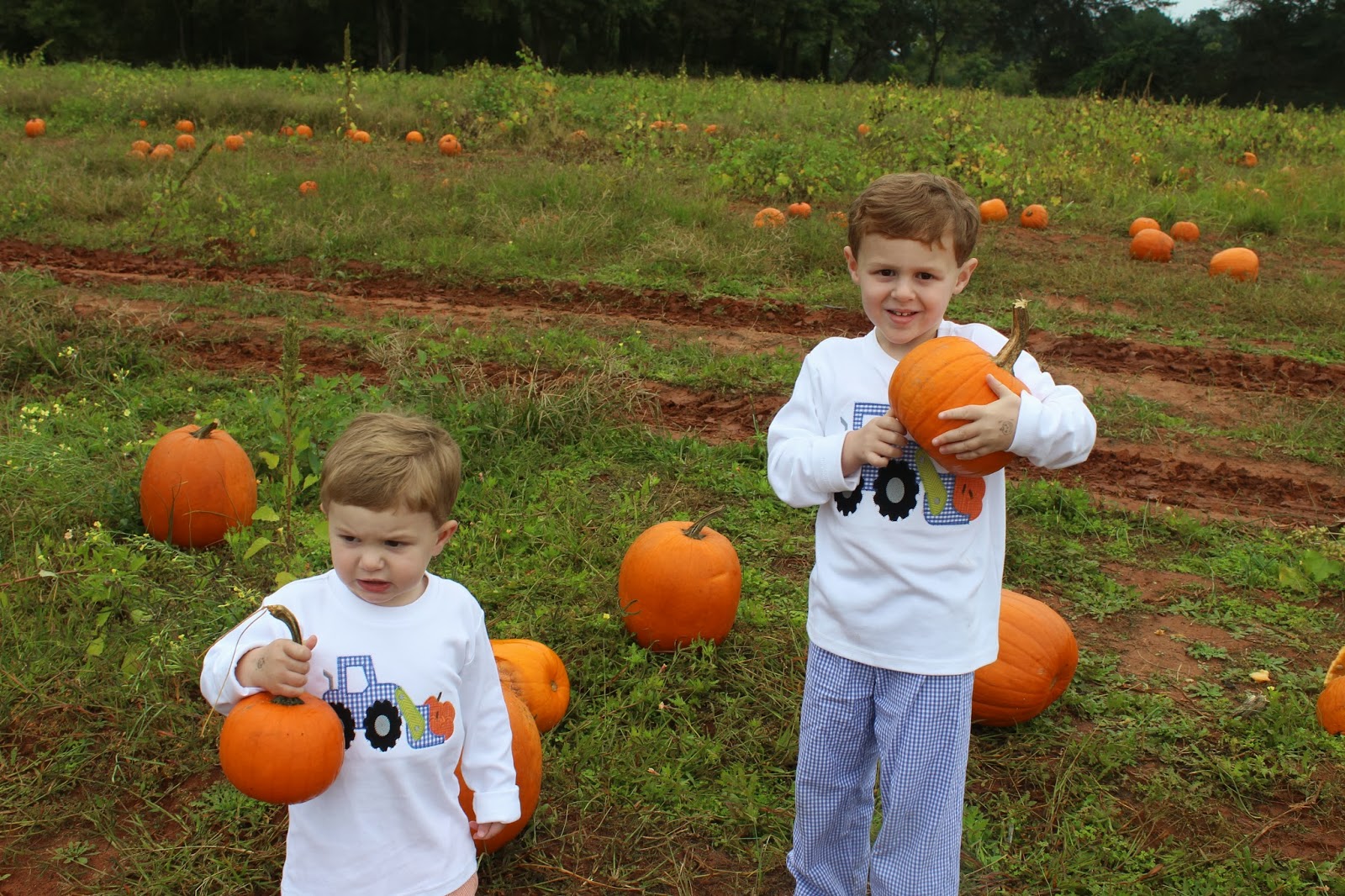 The Reed Family Old Baker Farm