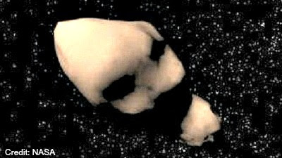 Asteroid Toutatis