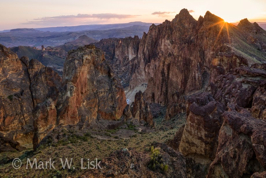 LiskLandscape Juniper