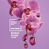 Orquídea Radiante – a cor de 2014! Veja decorações neste tom!
