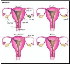 10 Penyebab Saat Haid 