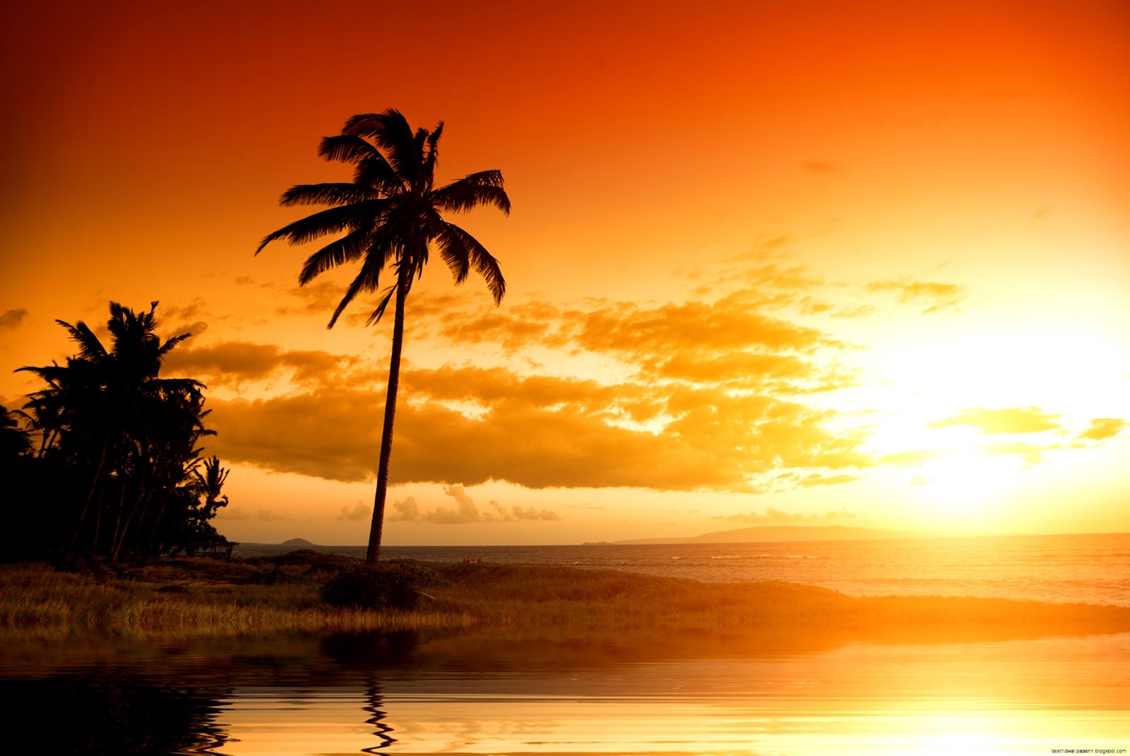 Sky Beautiful Sunset Scenery