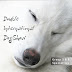 INTERNATIONAL DOG SHOW 2012+Διεθνής Εκθεση Μορφολογίας σκύλων 2012