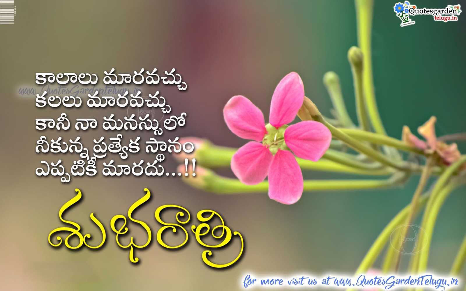 Best Telugu Good night quotes with love messages