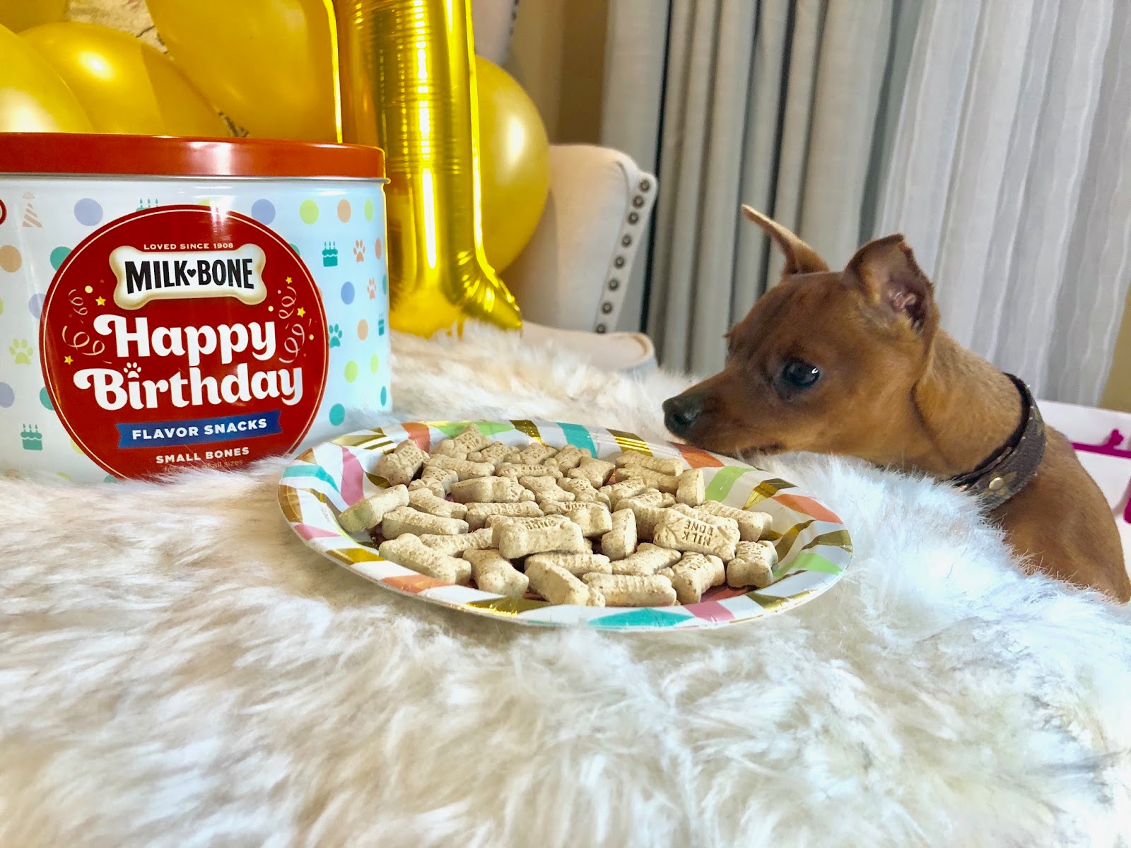 How Many Calories Are In A Milk Bone Dog Treat