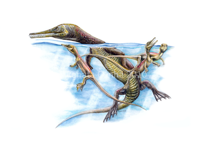 marine prehistoric animals