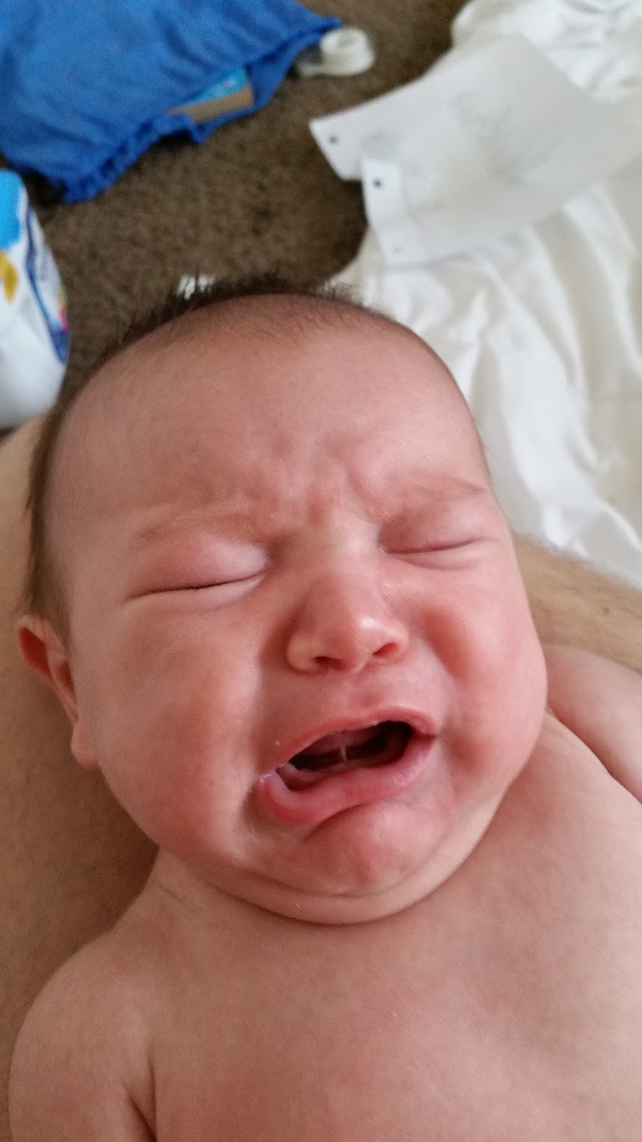 Team West Fitness Ignition