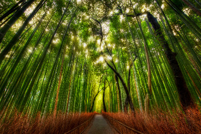 dynamic range