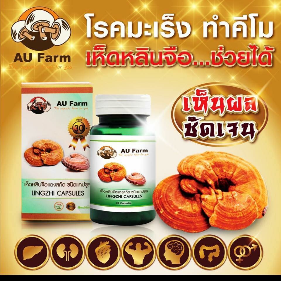 My Image 31