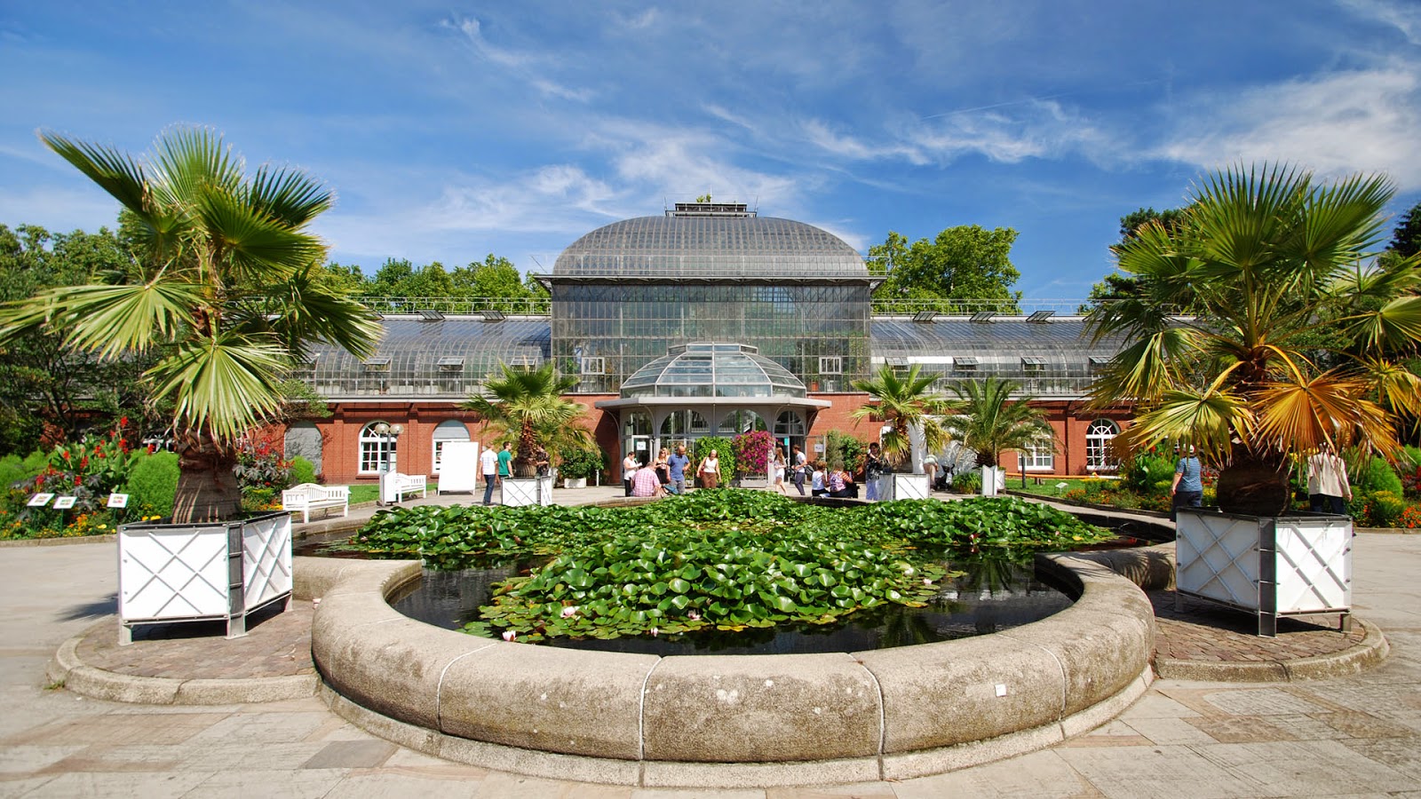 Пальменгартен Франкфурт Palmengarten Frankfurt
