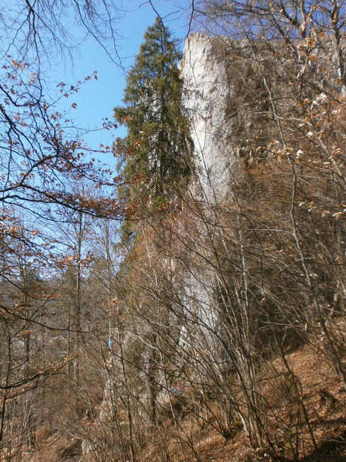 Peter S Laufseite Blaubeurer Felsenstieg Trainingslauf Auf Den Spuren Der Trails4germany Am 25 01 2018