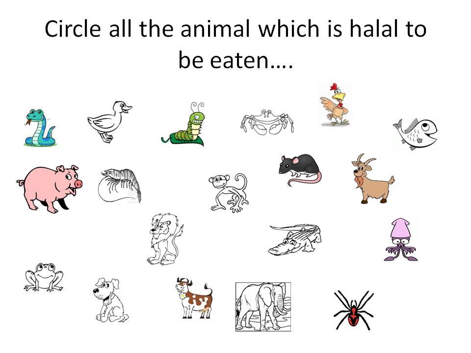 HALAL AND THOYYIB Games on Halal for Kids...