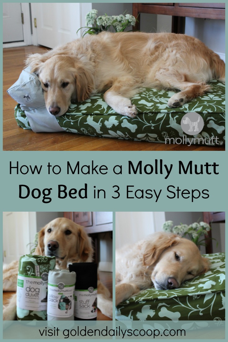 How to Upcycle Your Old Things Into A New Dog Bed