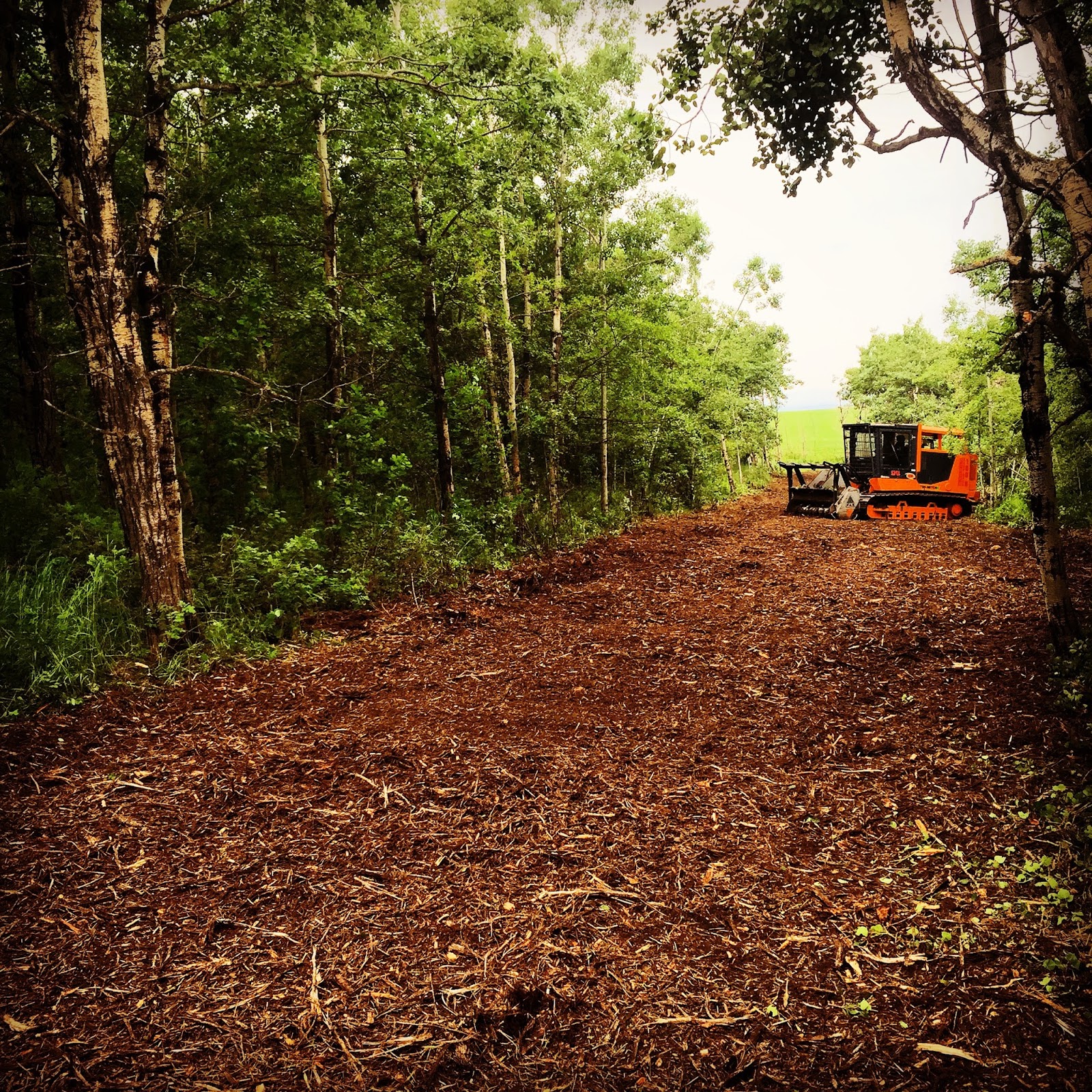 MULCHING PHOTOS Top Notch Tree Service
