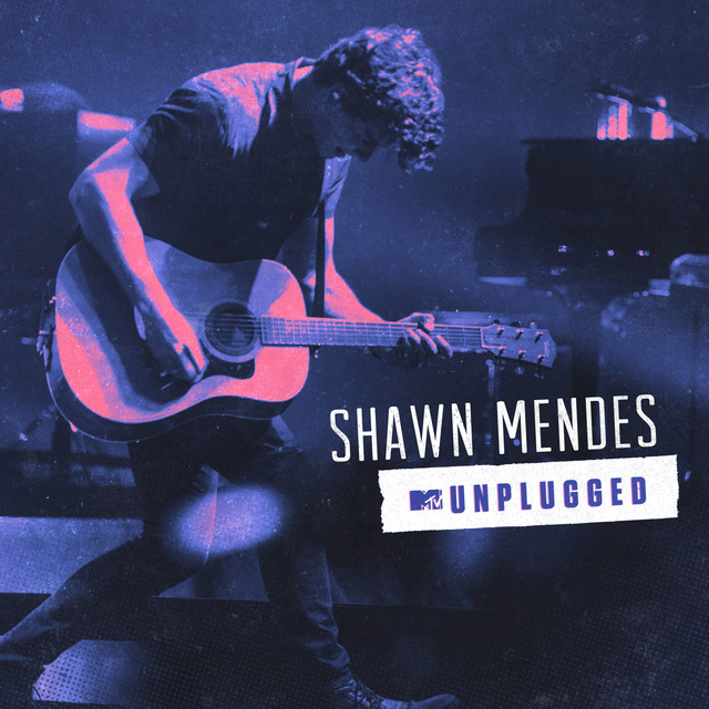 SHAWN MENDES THERE'S NOTHING HOLDING ME BACK MP3 + MP4 DOWNLOAD