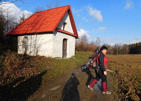 Kapliczka z XIX wieku na Przełęczy Dział (601 m n.p.m.).