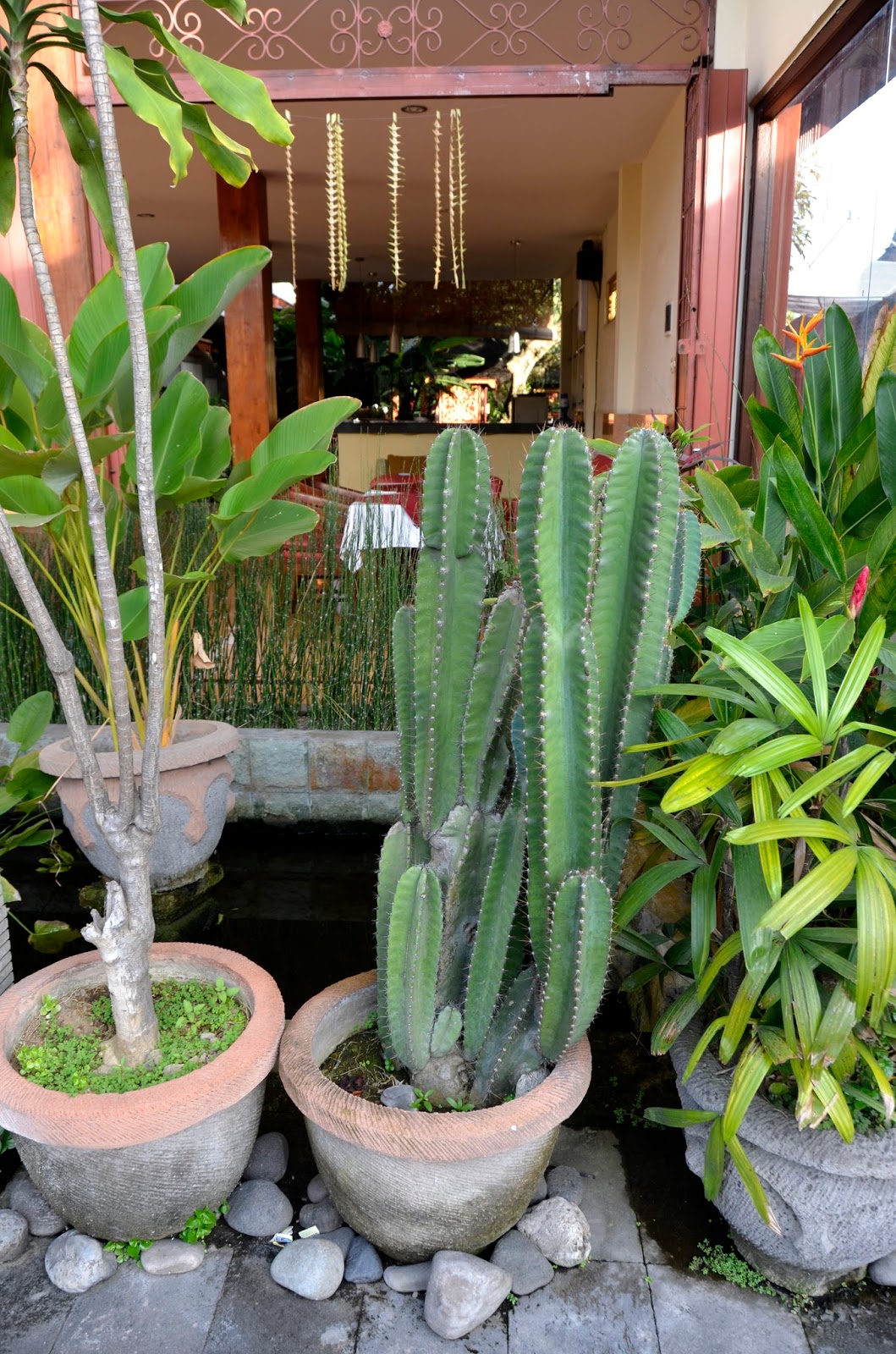 Прогулка по Убуду (Ubud), Бали