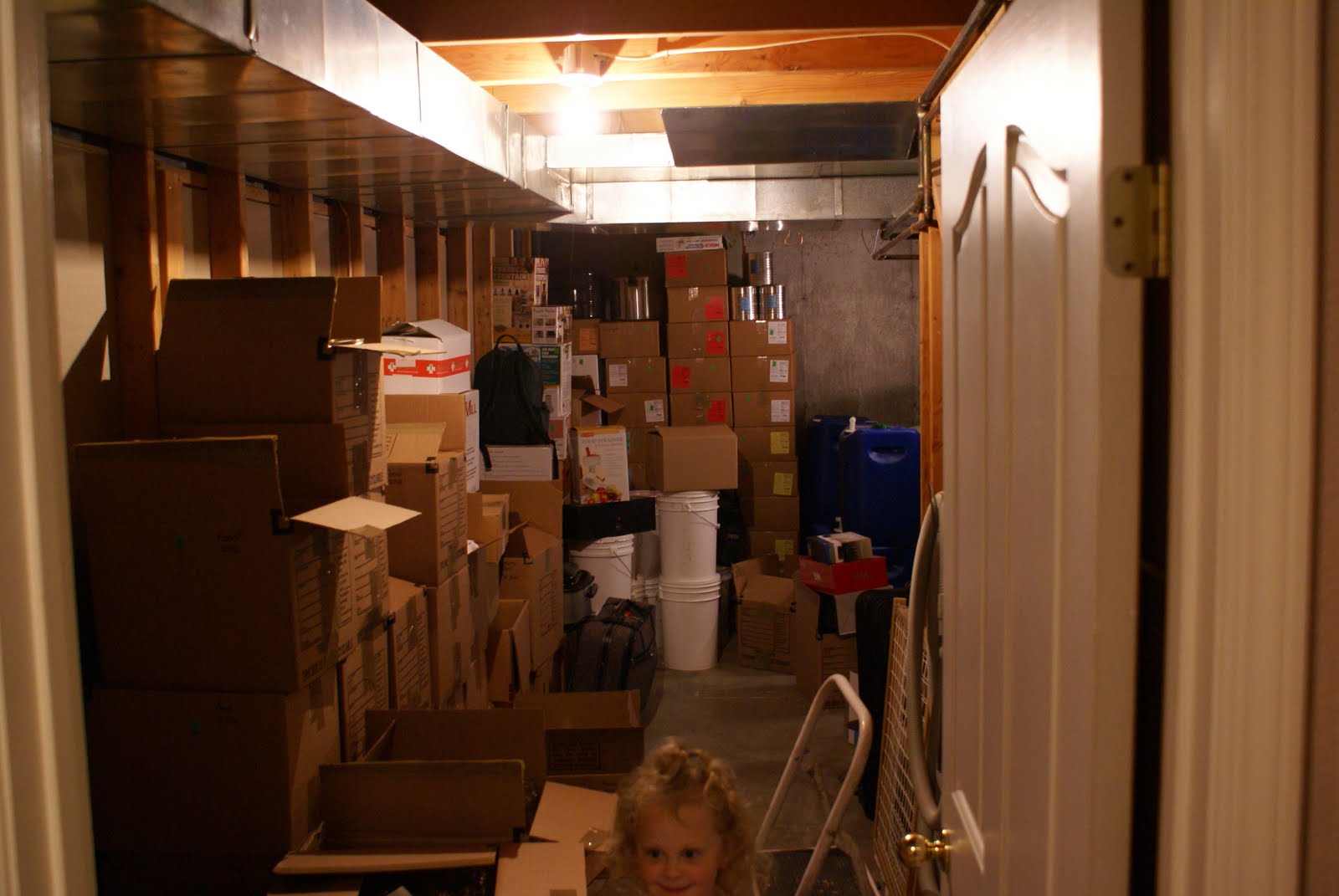 valdixon Storage Room Shelf Project