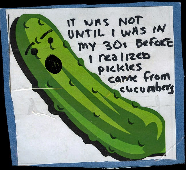 DeelaSees The More You Know...