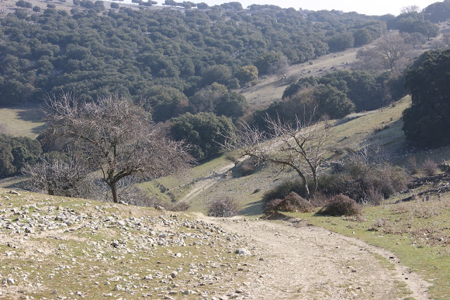 Descenso hacia la Fuenfría .