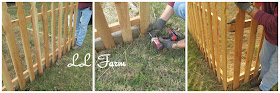 LL Farm: The Garden Fence (DIY)