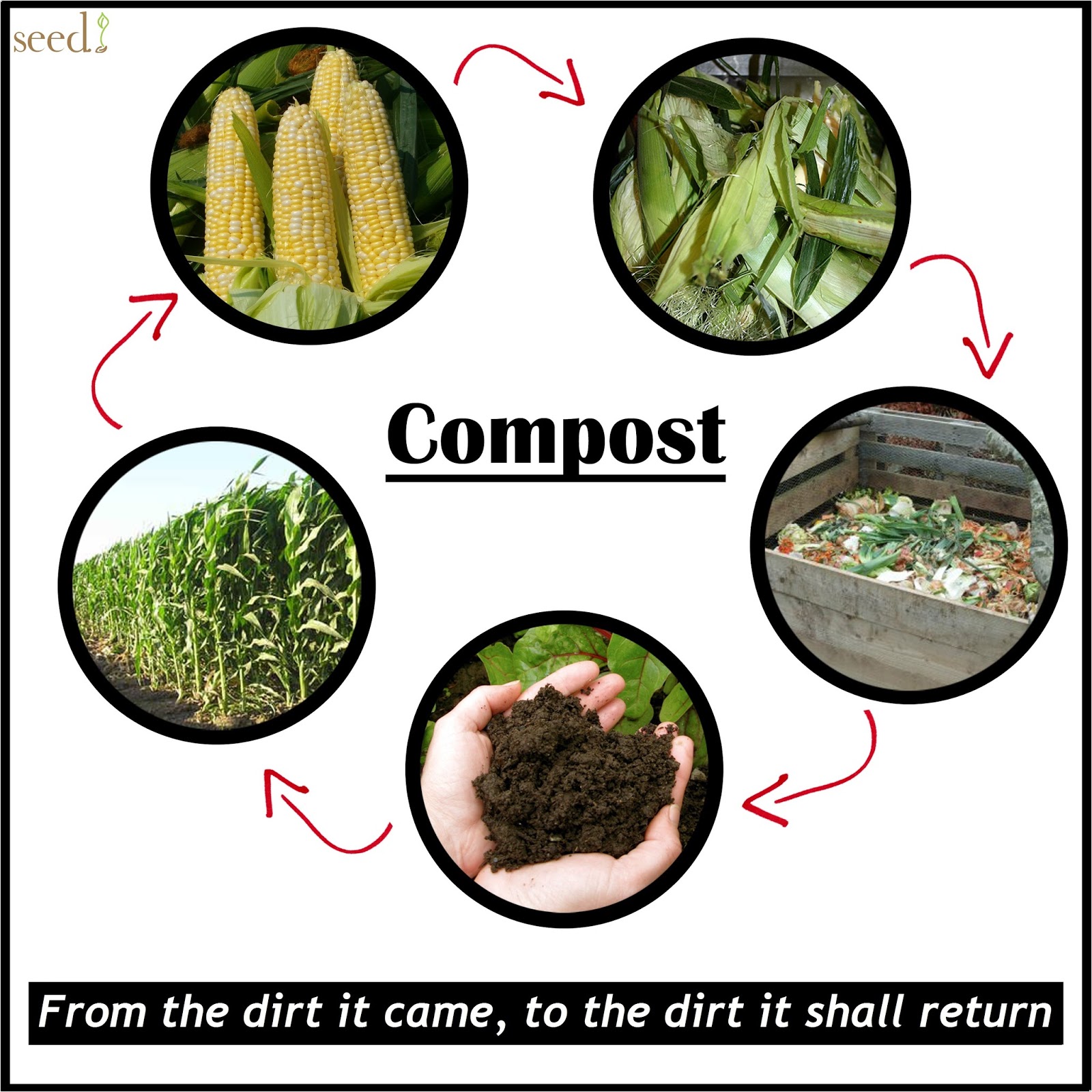 Every Day Is Special May 29 Learn About Composting Day