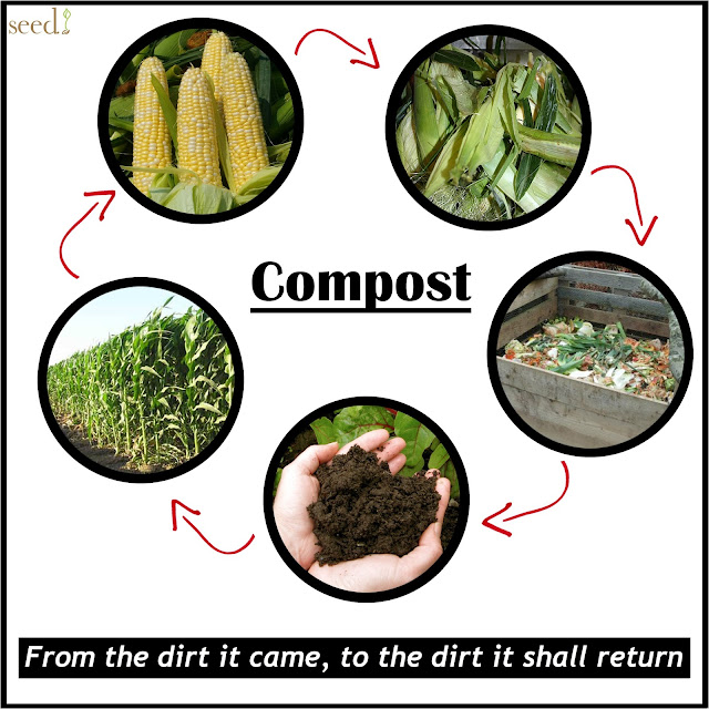 Every Day Is Special May 29 Learn About Composting Day
