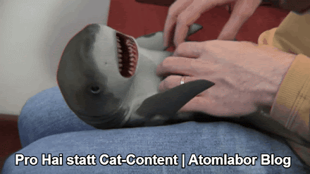 Ein neuer Webtrend wurde geboren: Hai statt Cat Content ( 4 Videos ) | Wir wolllen mehr...