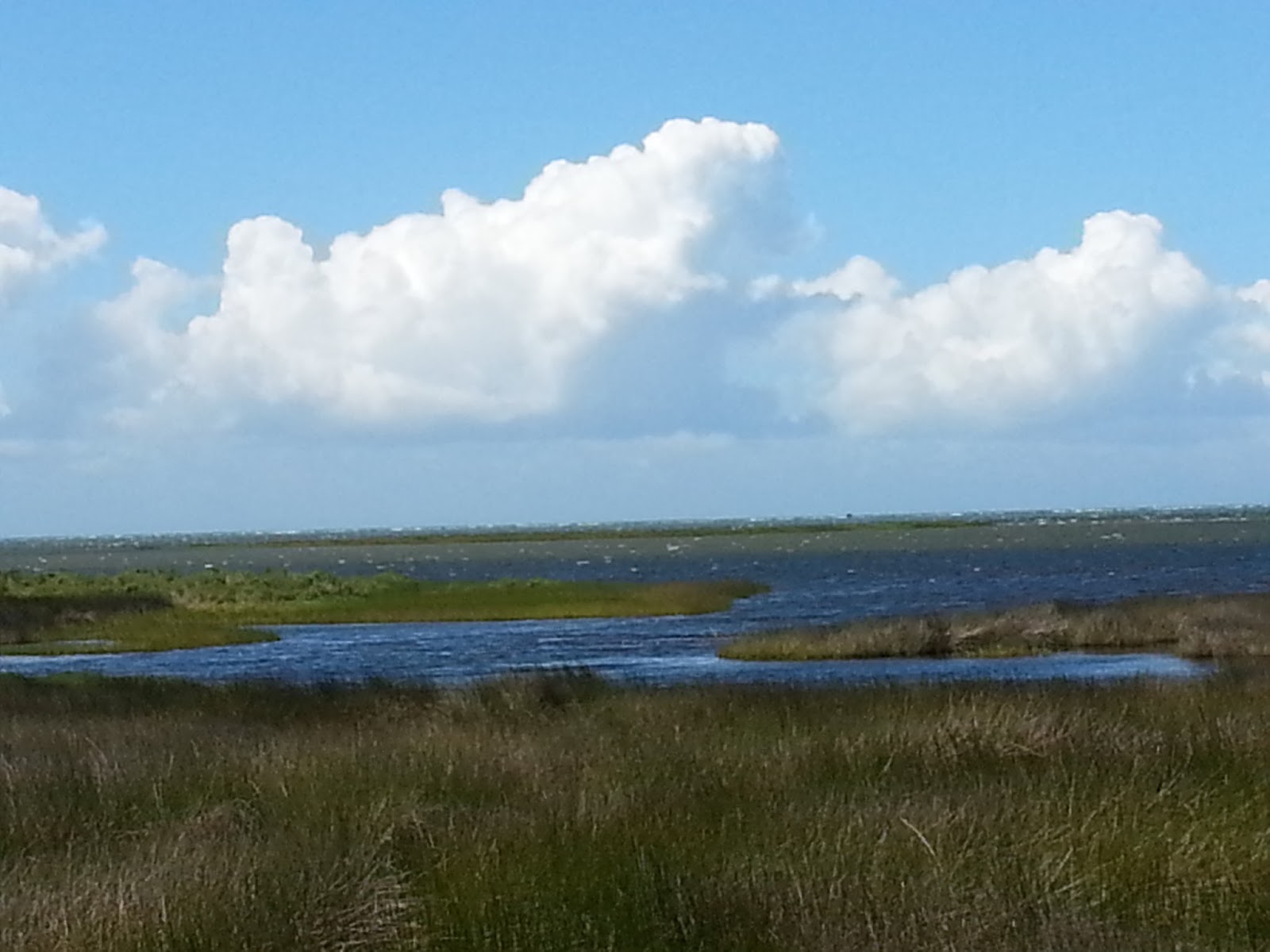 Ocracoke Island Journal Pamlico Sound