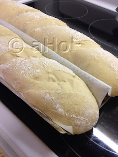 bread making, dough, proofing