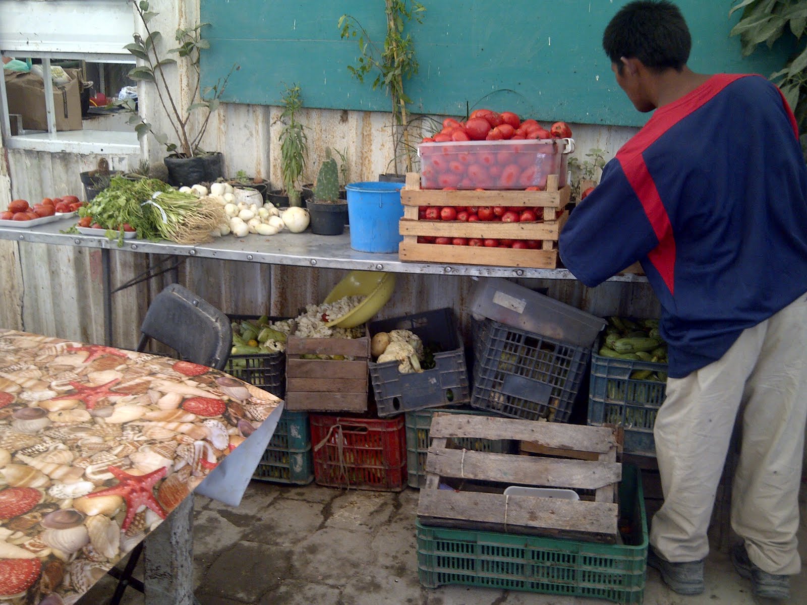 Un Techo para Casa Hogar