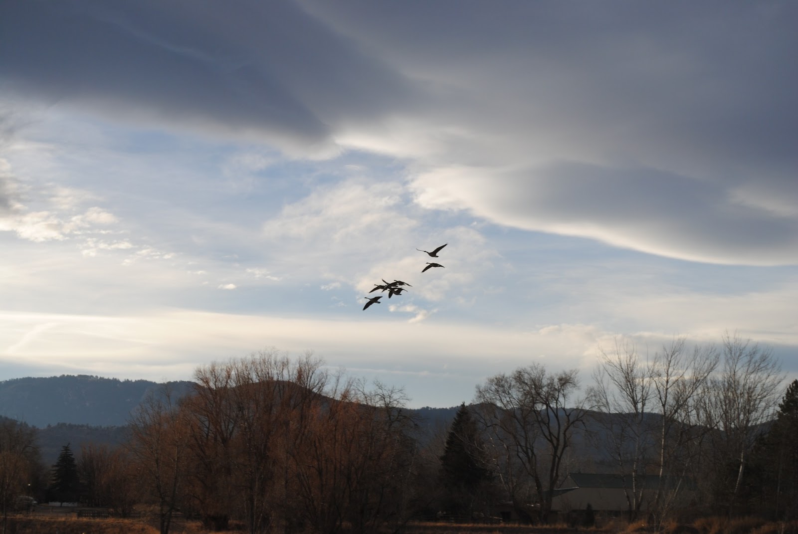 Red Fox Meadows Natural Area