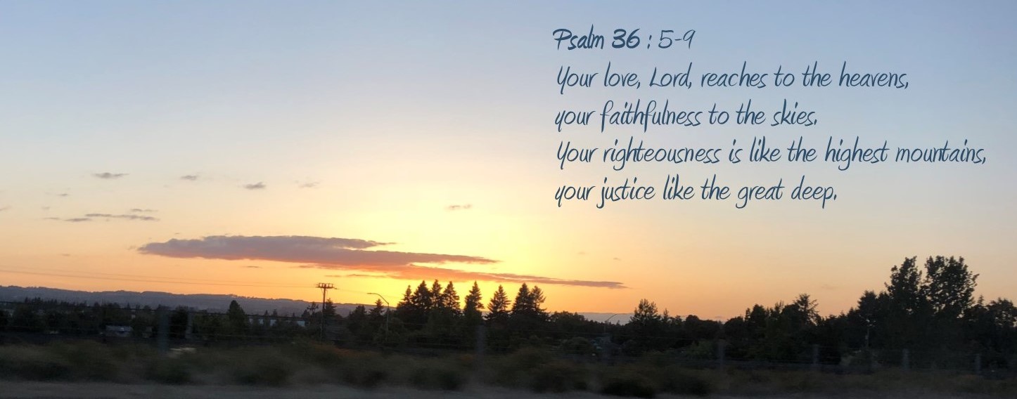 Tammy s Notes Your Faithfulness tammy-s-notes-your-faithfulness