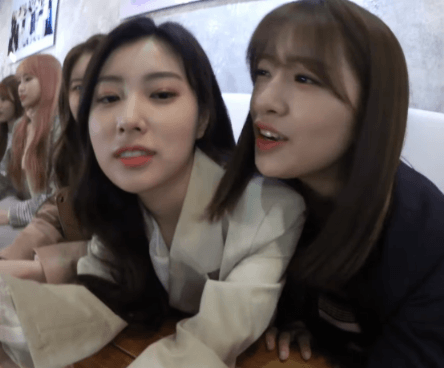 대형견과 견주